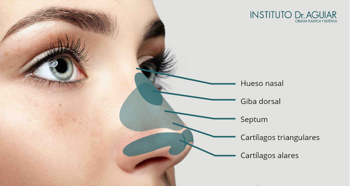 rinoplastia dudas frecuentes